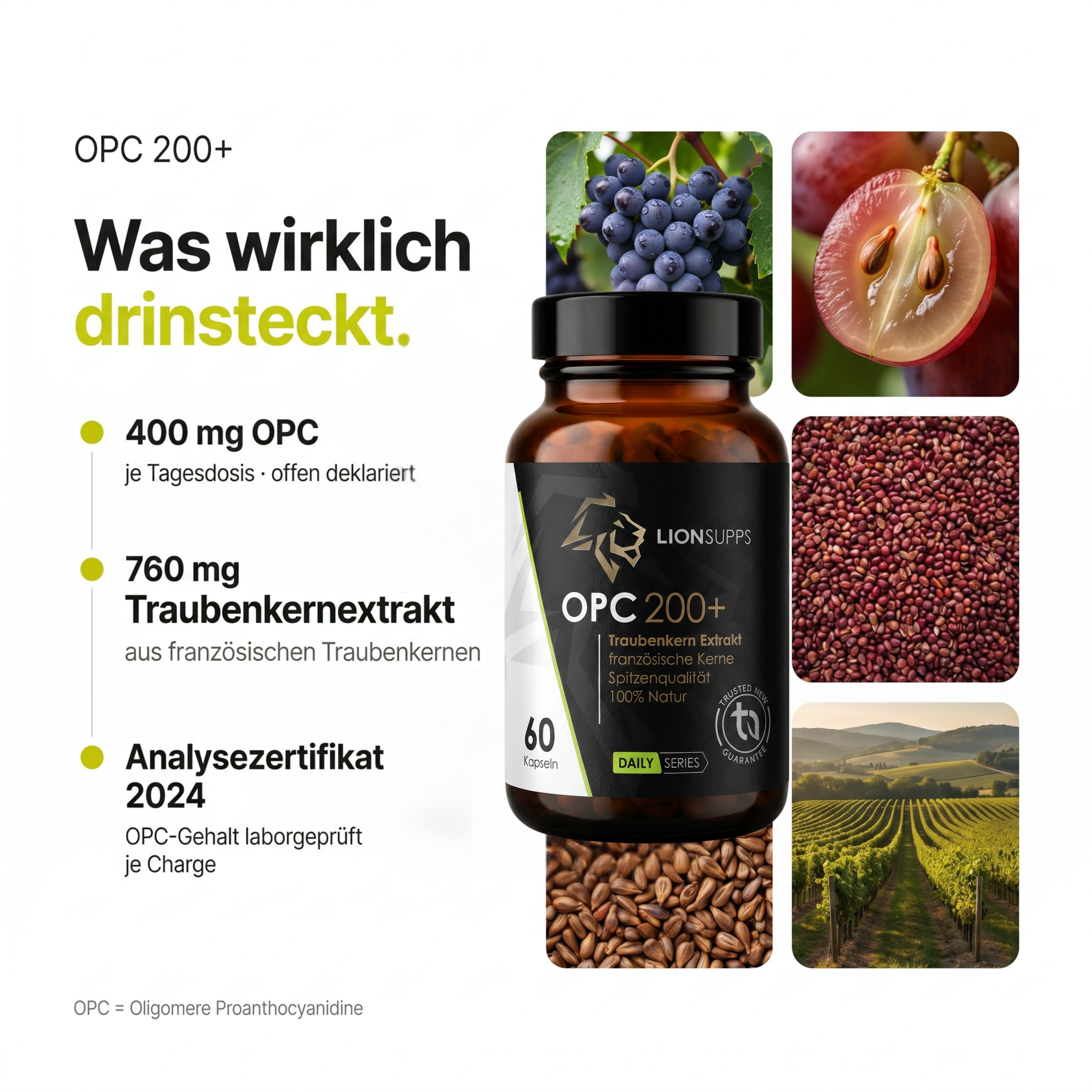 OPC 200+ Traubenkernextrakt