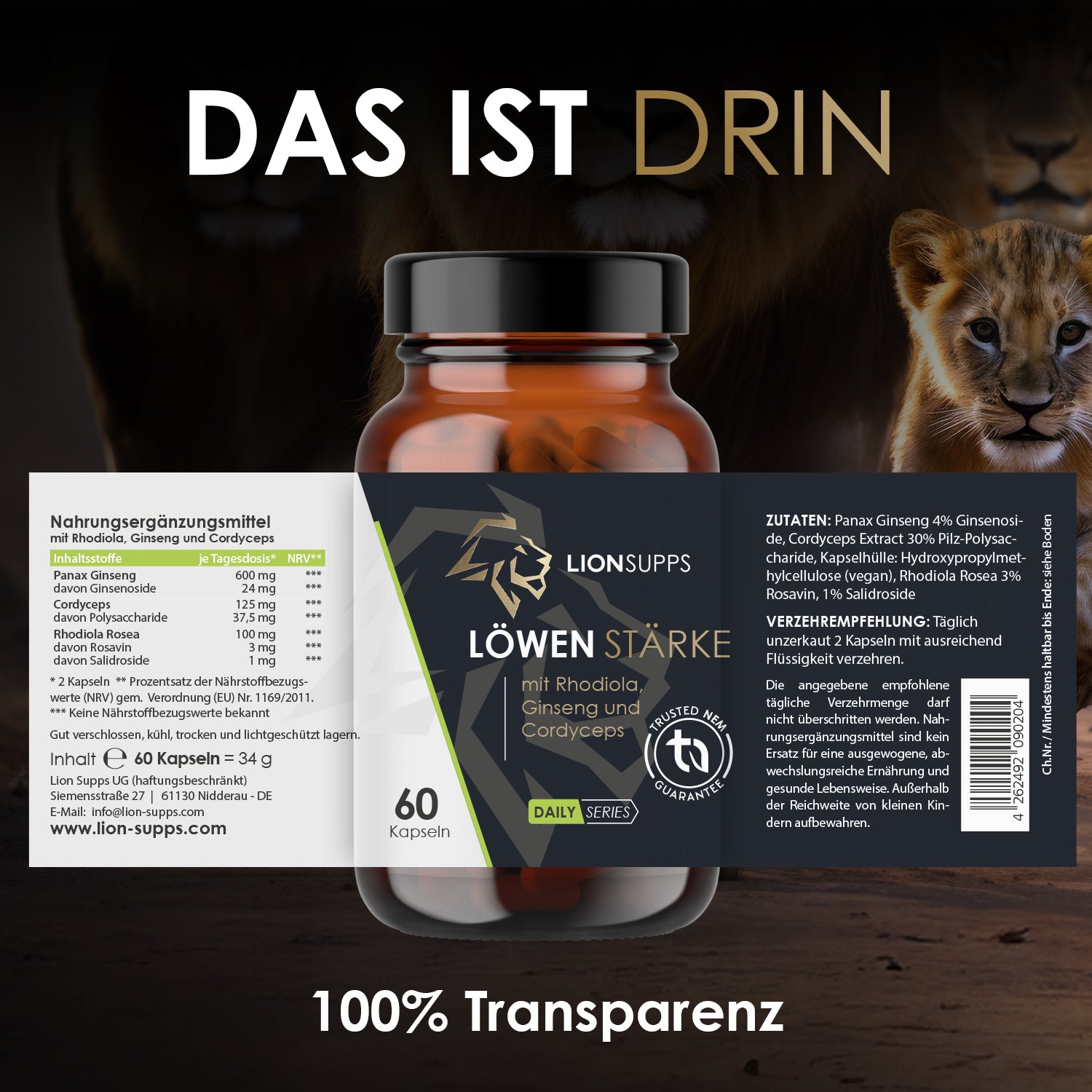 Coach Andys Löwenstärke