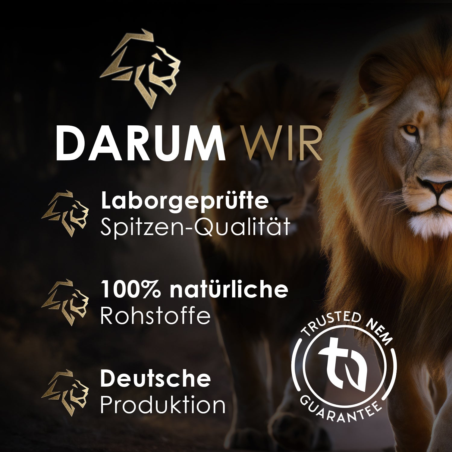 Haare, Haut und Nägel Bundle