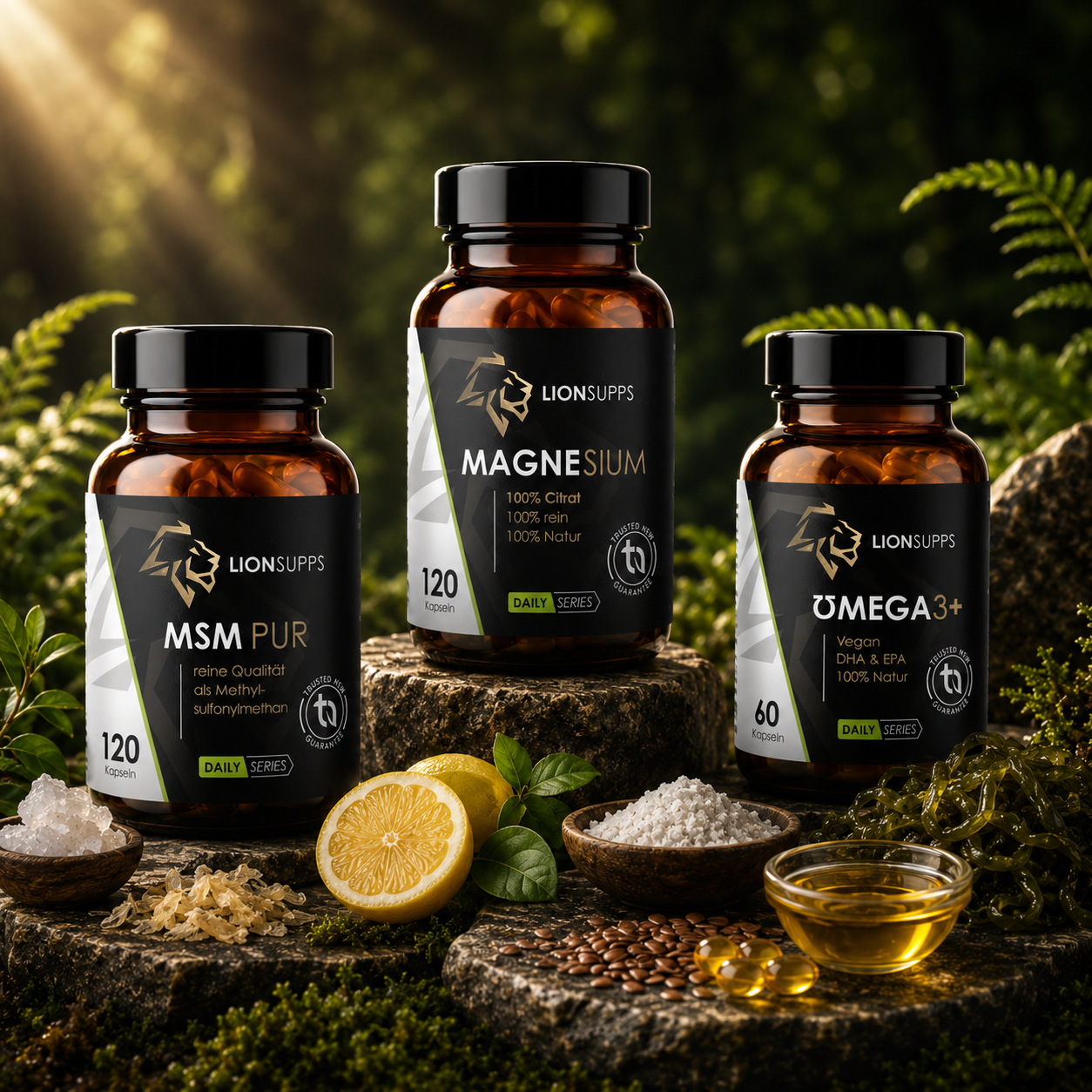 RECOVERY Stack von Lion Supps – Produktset rund um Regeneration und Gelenke