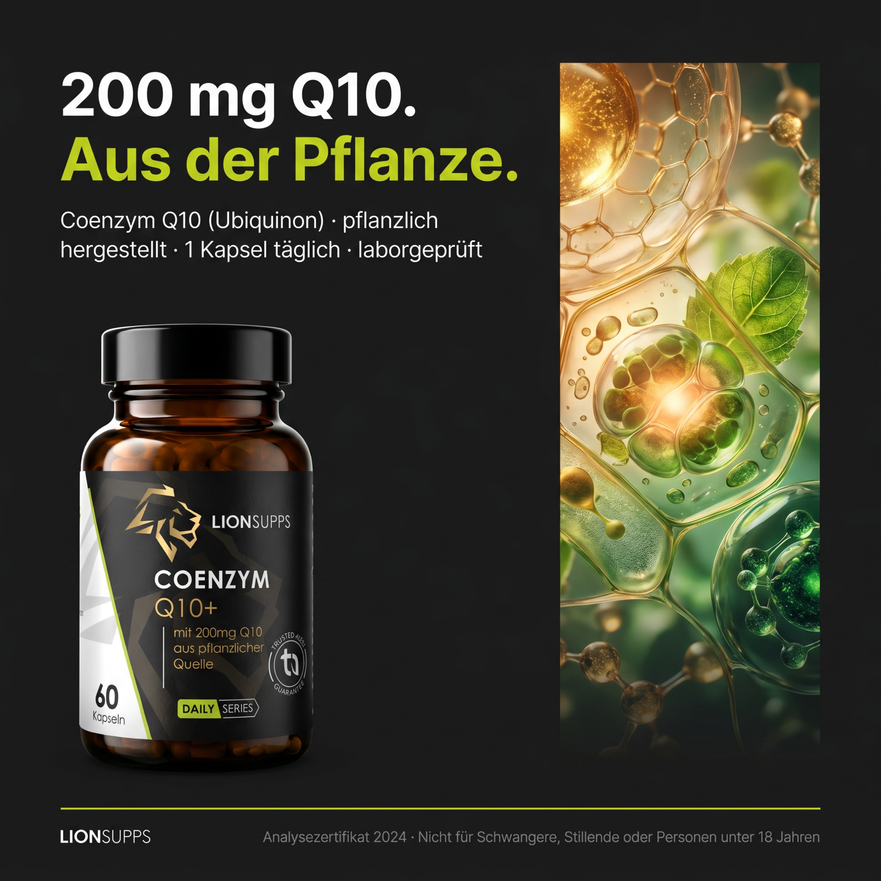 Coenzym Q10+