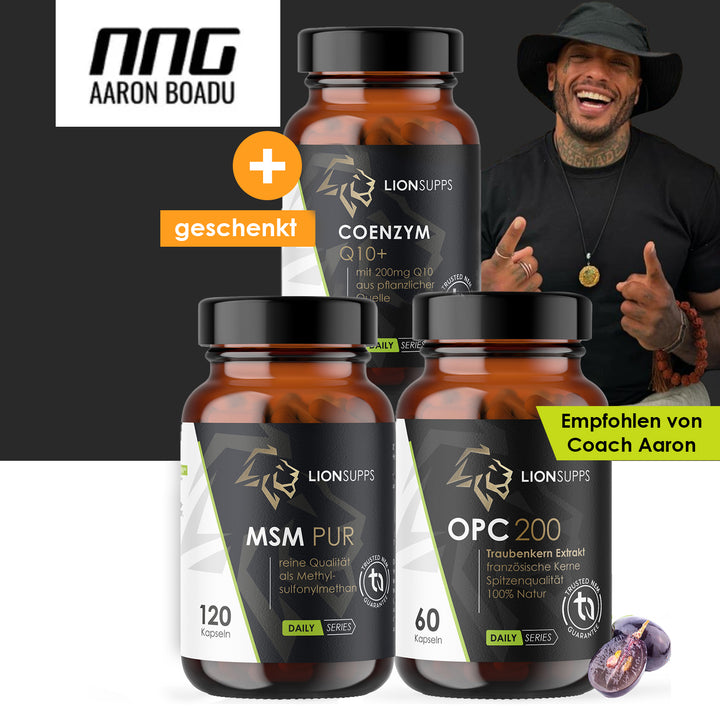 AARONS NNG Bundle | Special