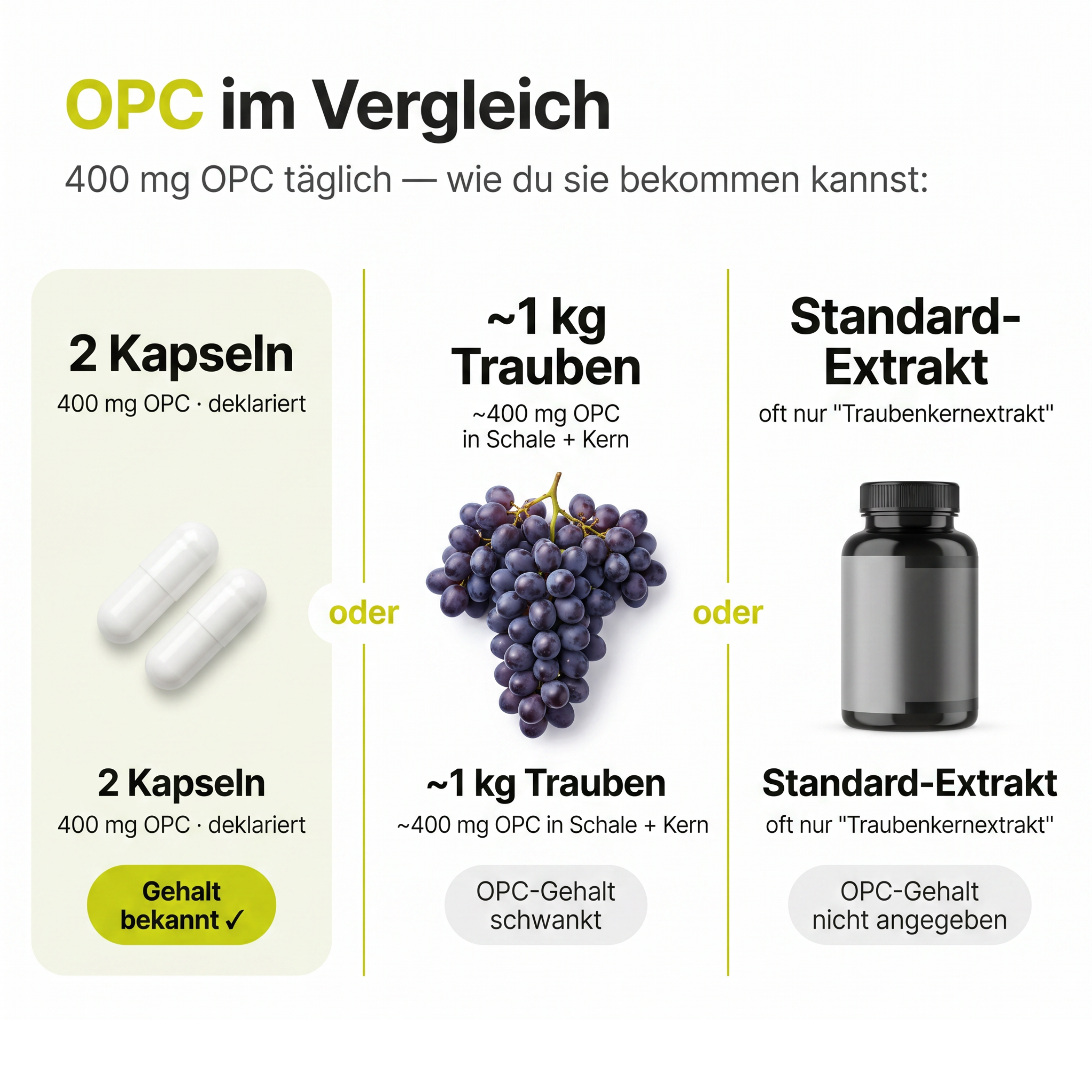 OPC 200+ Traubenkernextrakt