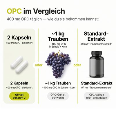 OPC 200+ Traubenkernextrakt