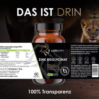 Testo+ Bundle