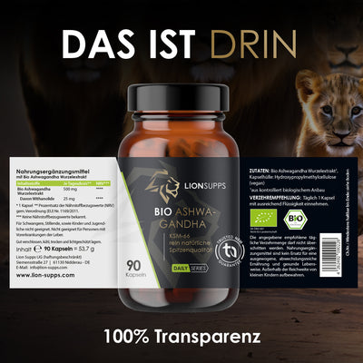 Testo+ Bundle