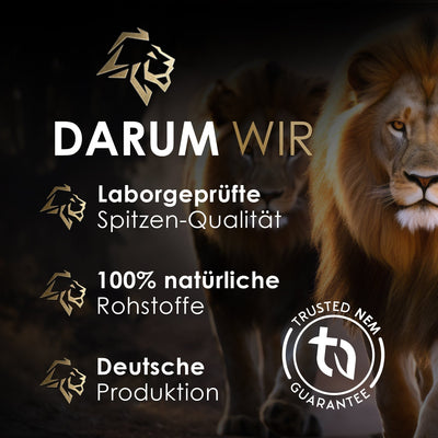 Leber Komplex – 9 Pflanzenextrakte