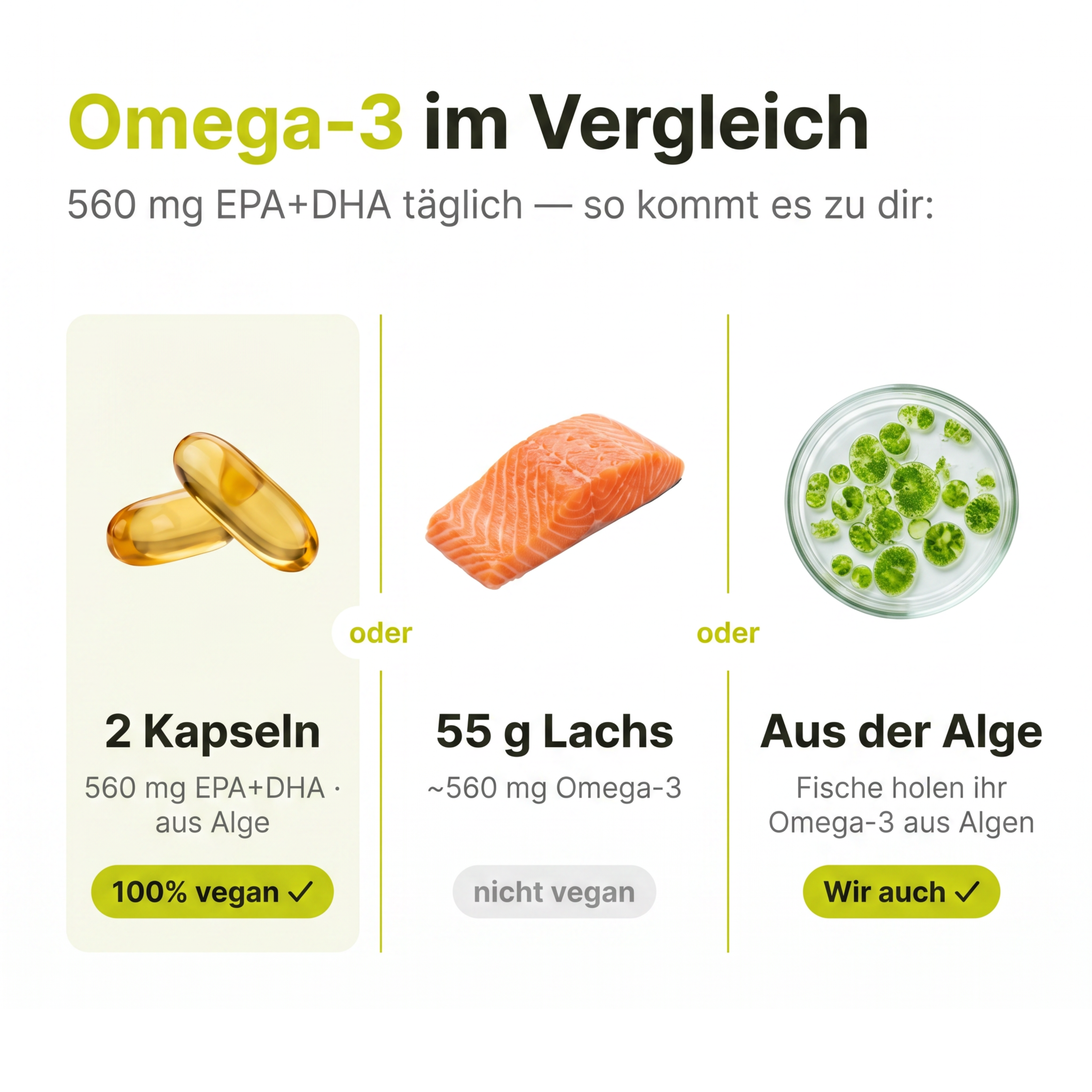 Omega 3+ vegan