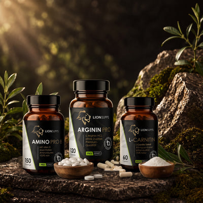 Lion Supps Trainings-Stack Bundle: Amino Pro 8, L-Arginin und L-Carnitin 500 Carnipure
