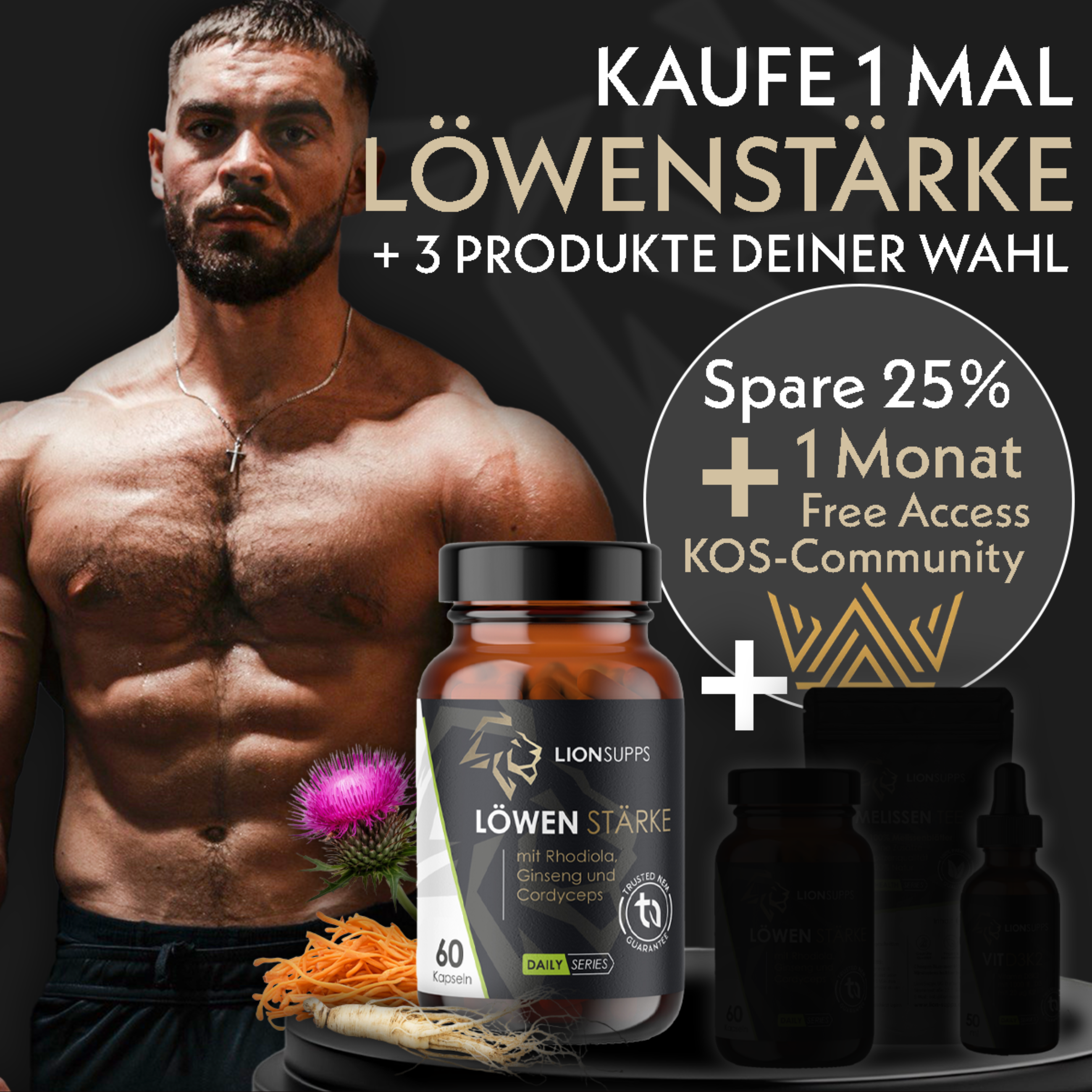 Coach Andys Löwenstärke